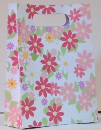 Gusset Sided Gift Bag - Bright Flowers by Hazel Underwood