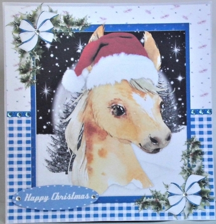 Gorgeous Christmas Foal by Hazel Underwood