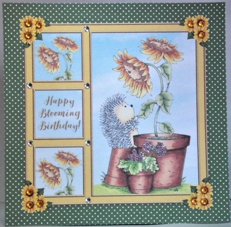 Cute Hedgehog Birthday Topper - Card Five by Hazel Underwood
