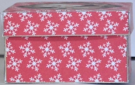 Gift Box - Christmas Fox by Hazel Underwood