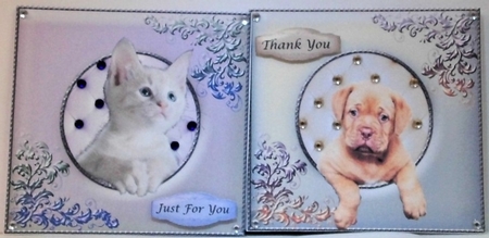 Puppy & Kitten looking through frames  by Hazel Underwood