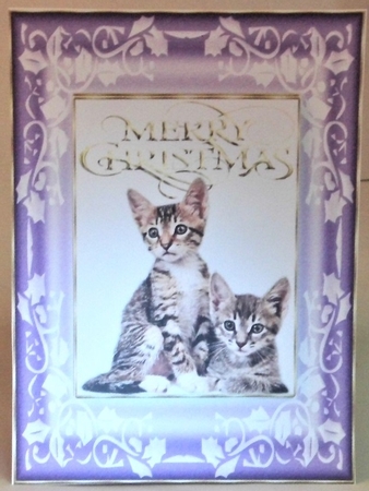 Christmas Kittens A5 Card Purple by Hazel Underwood