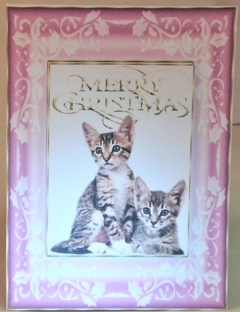 Christmas Kittens A5 Card Pink by Hazel Underwood