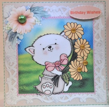 Beautiful Daisy Kitten by Hazel Underwood