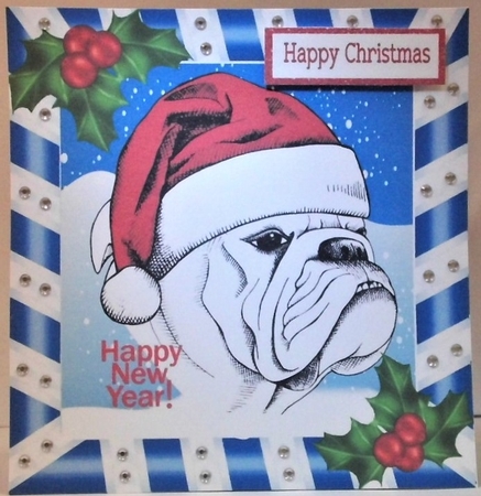 Grumpy dog in santa hat with holly 8x8 by Hazel Underwood