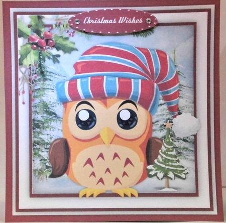 Gorgeous Owl  by Hazel Underwood