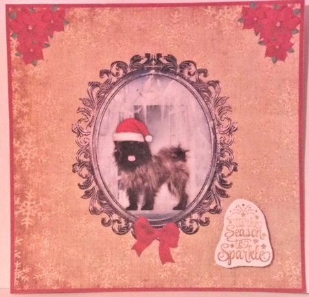 Sparkle Christmas Greetings  by Hazel Underwood