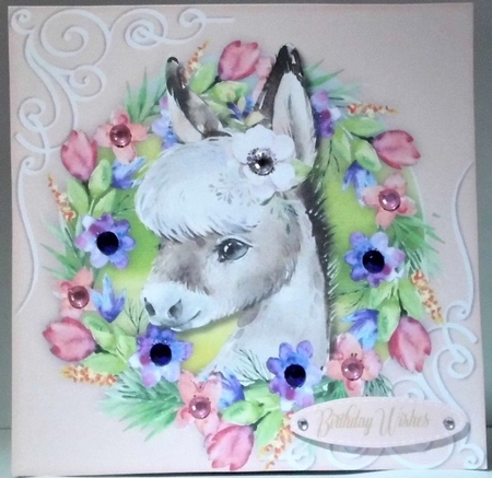 10, Card Fronts , Gorgeous Animals + 2 Inserts  by Hazel Underwood