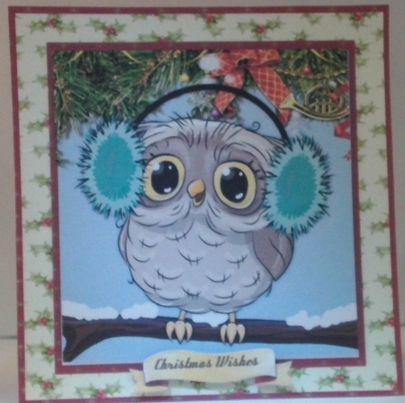 Gorgeous Owl in Ear Muffs  by Hazel Underwood