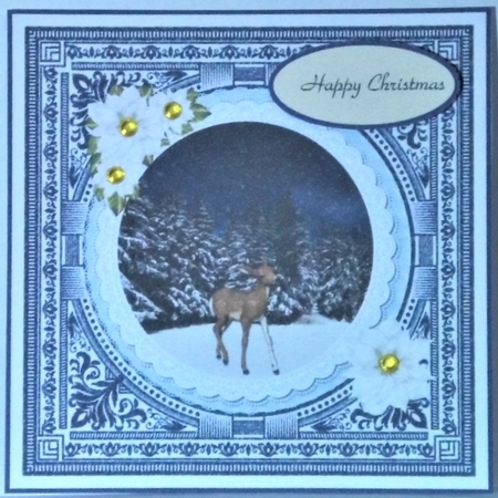 Deer at Christmas night time by Hazel Underwood