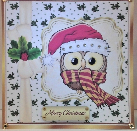 Cute owl in cerise santa hat in  holly frame with bow 8x8 by Hazel Underwood