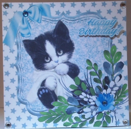  4 Cute kittens with blankets ,water colour flowers card fronts 8x8 mini kit by Hazel Underwood