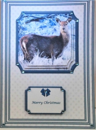 A5 deer in the snow step by step card front by Hazel Underwood