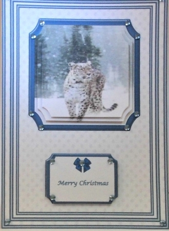 A5 leopard in the snow step by step card front by Hazel Underwood