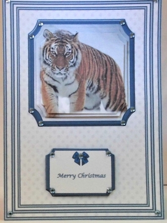 A5 tiger in the snow step by step card front by Hazel Underwood