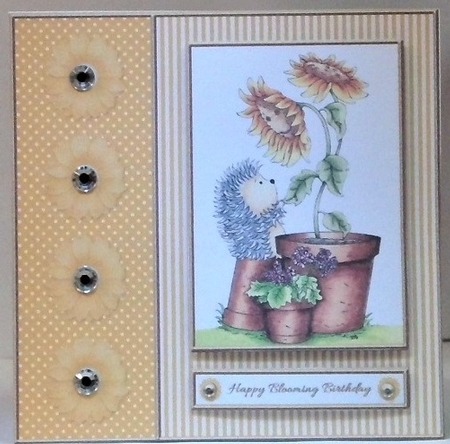 Happy Blooming Birthday by Hazel Underwood