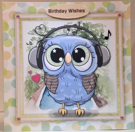 Owls  Head Phones  by Hazel Underwood