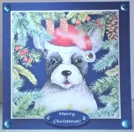 Christmas Pup Puppy Dog 6 X 6 Card Topper & Assorted Greetings by Hazel Underwood