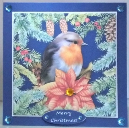 Christmas Robin 6 X 6 Card Topper & Assorted Greetings by Hazel Underwood