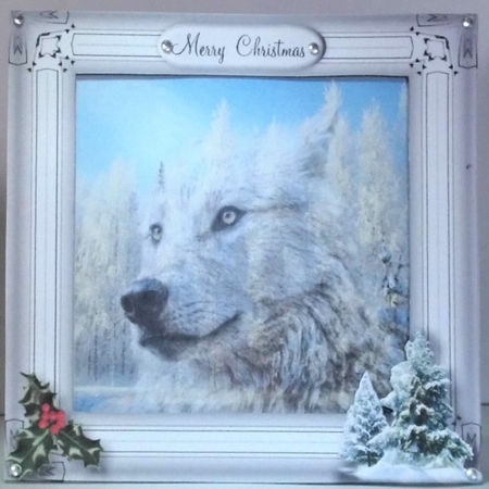 wolf in a frame by Hazel Underwood