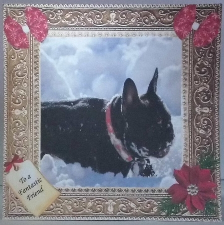 FRENCH BULLDOG FANTASTIC CHRISTMAS by Hazel Underwood