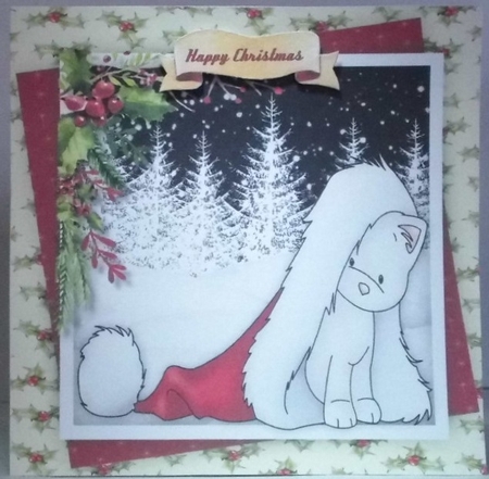 Kitty in a Santa Hat  by Hazel Underwood