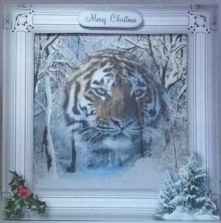 tiger in a frame by Hazel Underwood