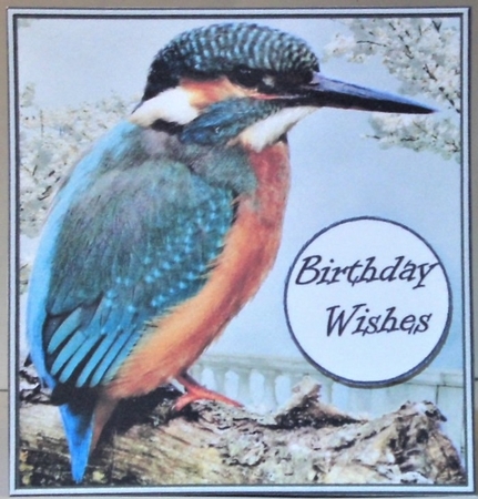 Kingfisher Quick Card by Hazel Underwood