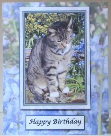 Cat among the Bluebells Topper by Hazel Underwood