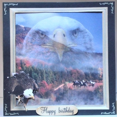 eagle by Hazel Underwood