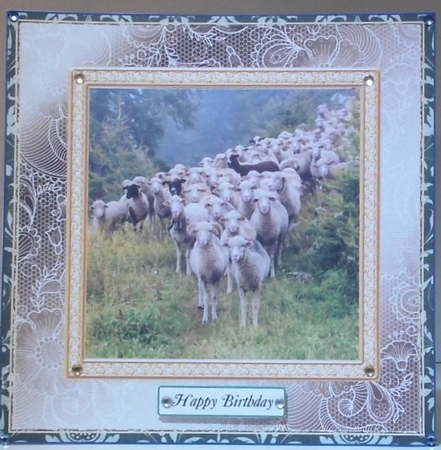 CHOOSE YOUR SENTIMENT SHEEP ON THE HILL by Hazel Underwood