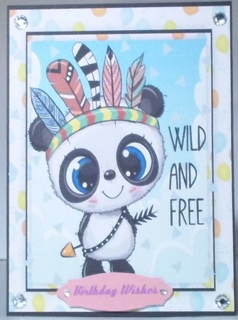 A5, Wild and Free Panda  by Hazel Underwood