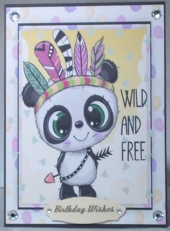 A5, Wild and Free Panda  by Hazel Underwood