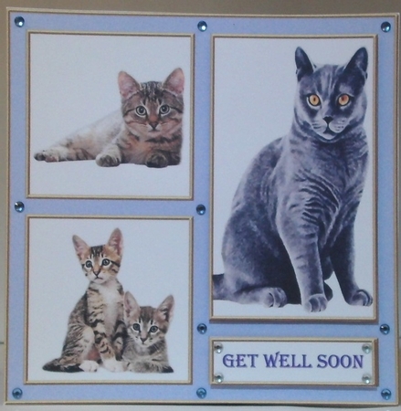 Black Cat and Kittens 7in x 7in by Hazel Underwood