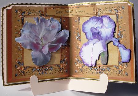 Book of Flowers by Heather Beechey