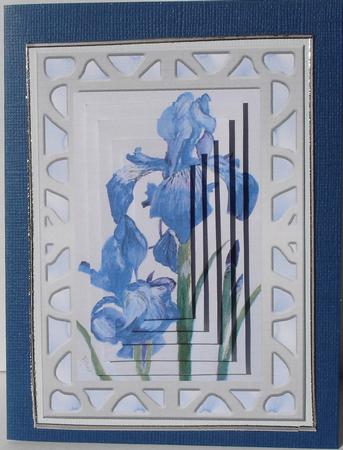 Painted Irises by Heather Beechey
