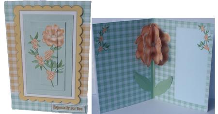 Peach Flower Inside Card Kit by Heather Beechey