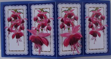 Pink Fuschia Flowers with Nodding Heads Blue Diamond Fold by Heather Beechey