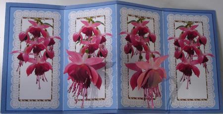 Pink Fuschia Flowers with Nodding Heads P Blue Diamond Fold by Heather Beechey