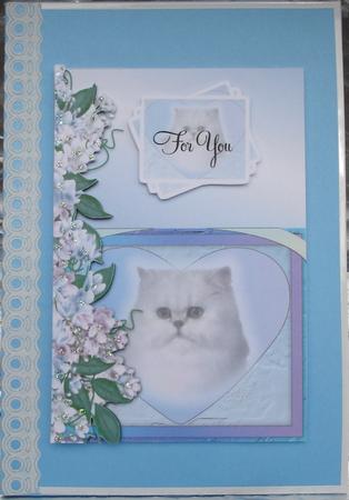 Cat in Rainbow Heart Birthday by Heather Beechey