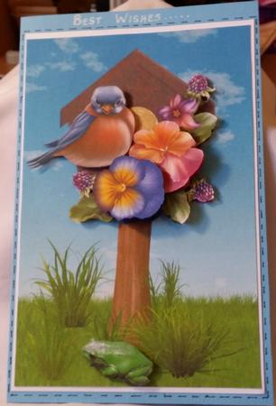 Spring Time Bird 4 by Heather Beechey