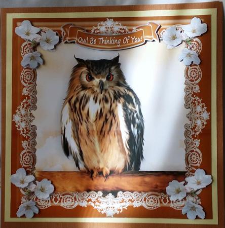 What a Hoot Owl - 7.5" x 7.5" Card Topper by Heather Beechey