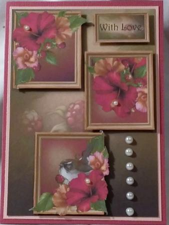 Gorgeous Hibiscus Frame Trio by Heather Beechey
