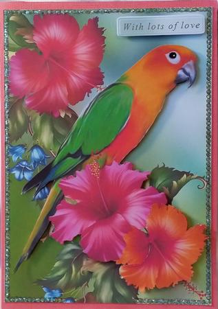 Parrot and Hibiscus by Heather Beechey