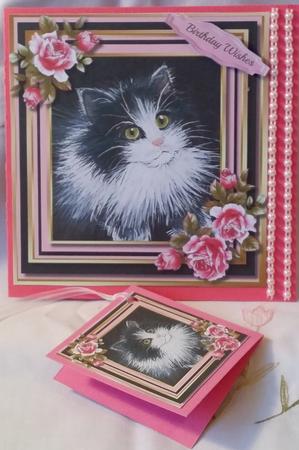 Beautiful Black and Whit Kitten and Pink Roses  by Heather Beechey