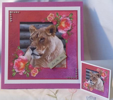 Lioness Framed Topper by Heather Beechey