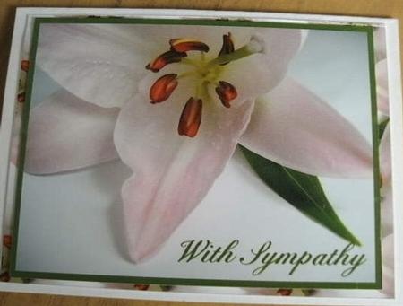 Pink Lily Sympathy Quick Card by Heather Finn