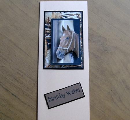 Mini Series Horses by Heather Finn