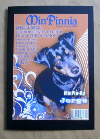 Minpinnia Ii by Heather Finn