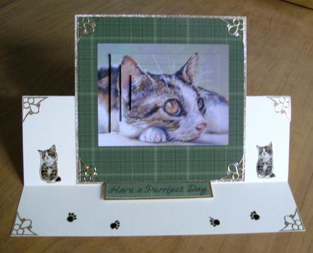 The Cats Whiskers 2 by Heather Finn